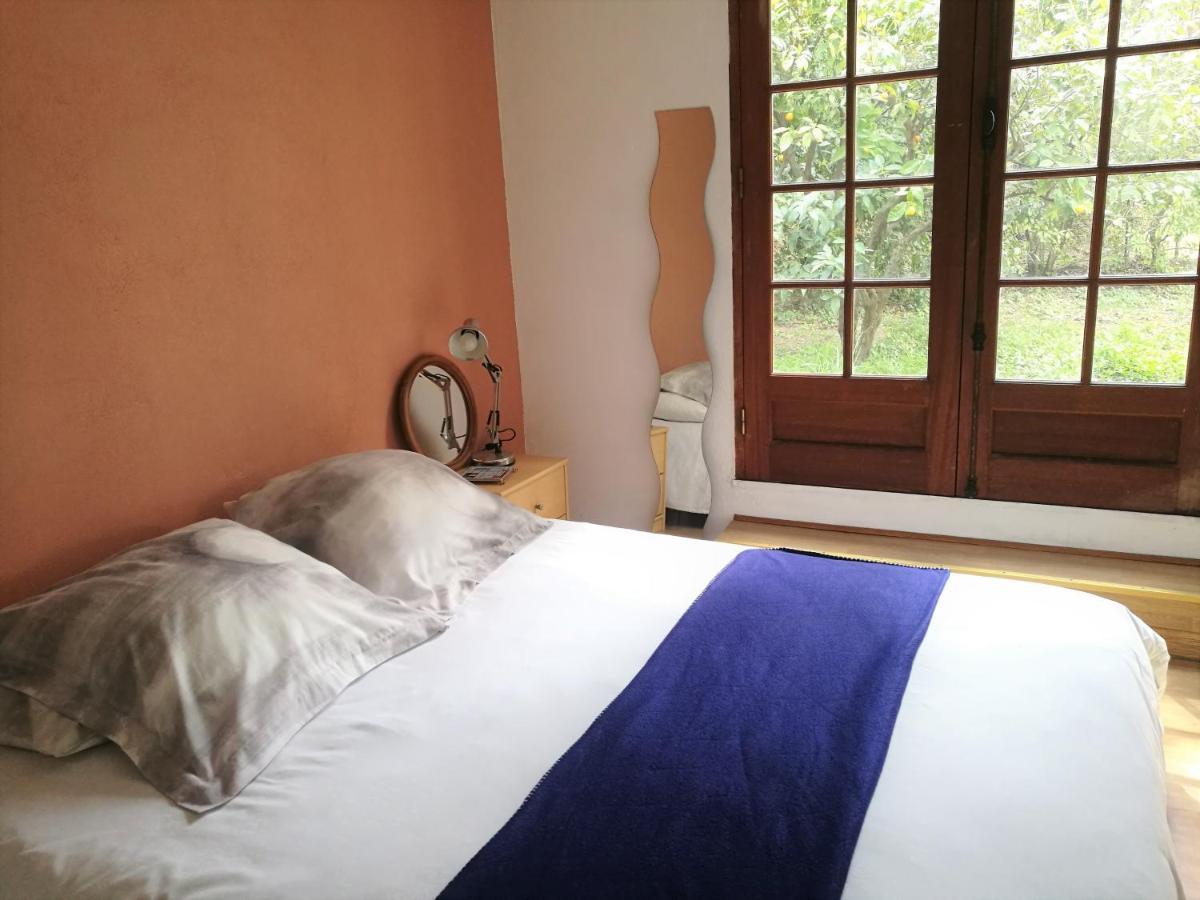 Joli Appartement Dans Villa Entre Nice Et L'Arriere Pays Castagniers Exterior foto